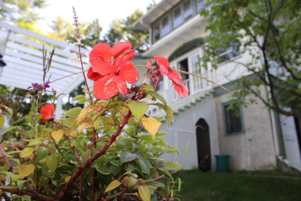 The Hillside B&B. Home W/ Breakfast Service! 위스콘신 델즈 외부 사진
